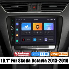 10.1 Inch Skoda Car Stereo