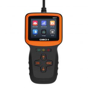 V317 Diagnostic